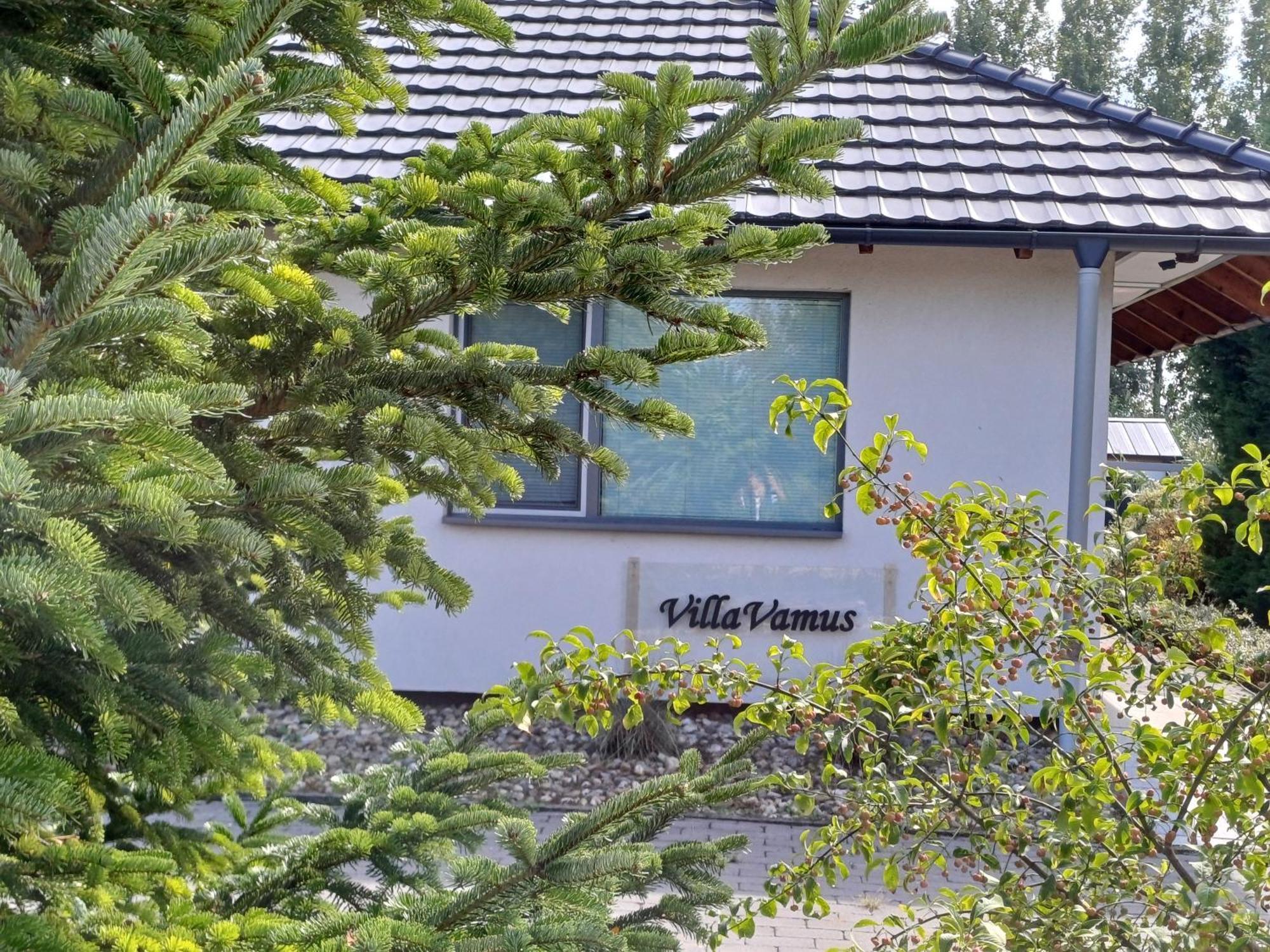 Villa Vamus Vendeg- Es Rendezvenyhaz Vamosszabadi Exterior photo